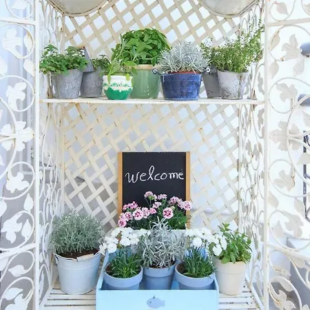 Prázdninový dům Agora *